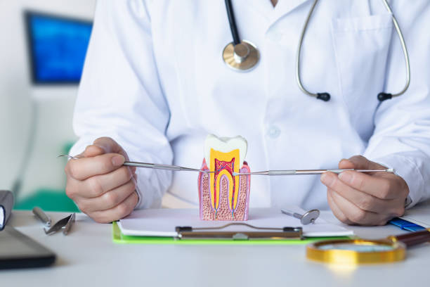 Best Emergency Wisdom Teeth Removal in Clinton, UT